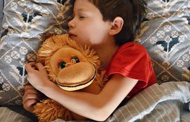 A boy in bed with a cuddly toy