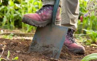 Person digging in a garden.jpg