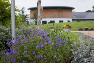 Flowers in the communal gardens at Redwoods Centre