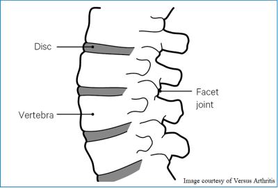 Spine Healthy Joints.png