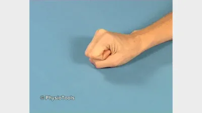 Finger Flexion Extension.gif