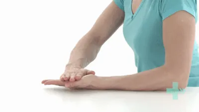 Isometric wrist flexion.gif